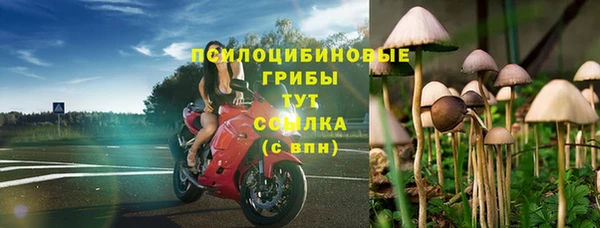 трава Балабаново